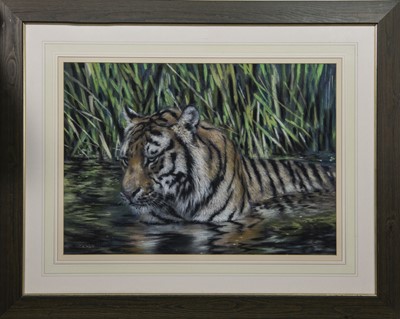 Lot 261 - TIGER, A PASTEL BY JOEL KIRK