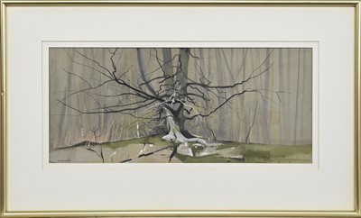 Lot 32 - * DONALD SHANNON (SCOTTISH exh 1952 - 1964)