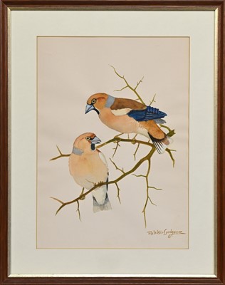 Lot 94 - * RALSTON GUDGEON RSW (SCOTTISH 1910 - 1984)